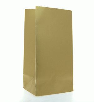 Small Paper Bag (per 100)